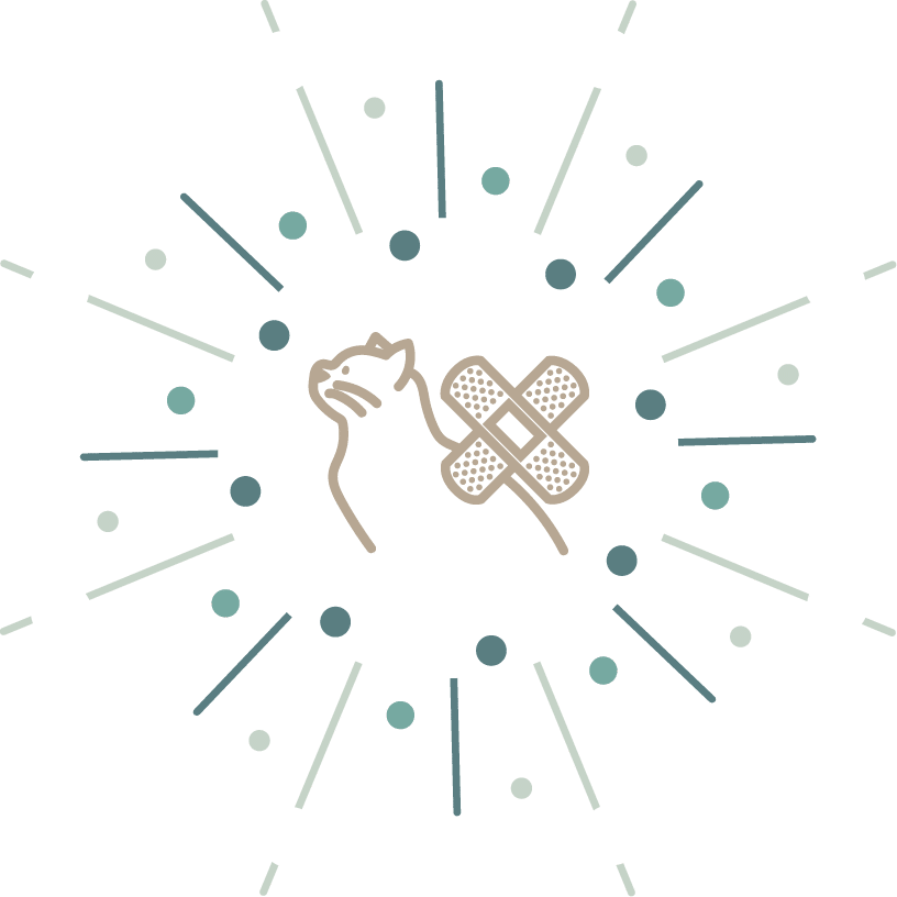 icone avec un chat et un pansement